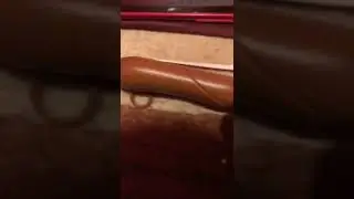 Yoshi poops
