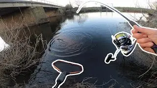 THIS is why you ALWAYS need to have a rod in the car!