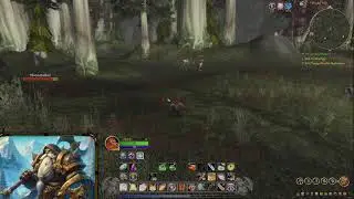 Turtle WoW Dwarf Paladin Hardcore Adventures