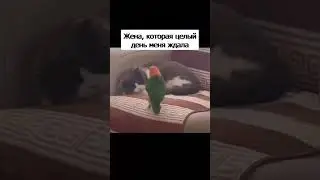 Хорошо, когда дома ждут 😊  