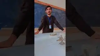 Sindh university physiology department