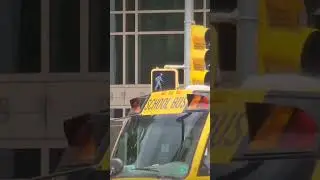 McCain Crosswalk Signal 2