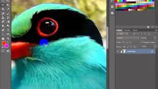 How to color a certain part of an image in Photoshop
