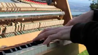 Nature - We Move (Antonius Müller, Isabel Florido, Robert Wittmer)