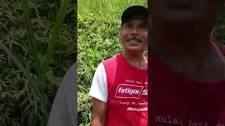 Wawancara Warga kampung cikurantung
