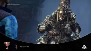 Baldur's Gate 3 Trophy