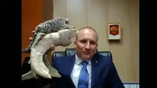 Как выполнить бриллианта меньше чем за месяц в Bepic 2 Часть