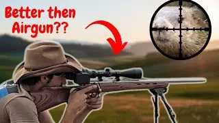 Epic (Scope Cam) 17hmr Ground Hog Hunting!