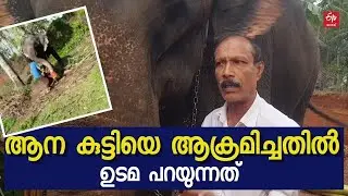 'ചിലര്‍ പഴത്തൊലിയും ചകിരിയും നല്‍കി ആനയെ കബളിപ്പിച്ചു' ; വിശദീകരണവുമായി ഉടമ | ELEPHANT ATTACK