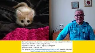 Об арабо-израильском конфликте - мнения дилетантов