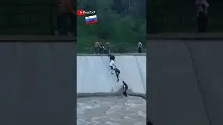 СПАСАЮТ СОБАКУ.