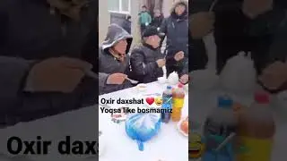 Qorda toy qilibdi
