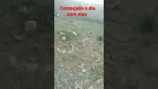 só gratidão