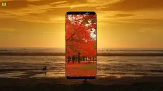 Transfer Photos from Samsung Galaxy S8 / S8+ to PC