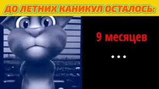 До летних каникул осталось:
