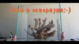 Самый бюджетный аквариум своими руками. Немного про пень! #1