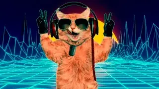 The Weekend - Blinding Lights - Cat Version