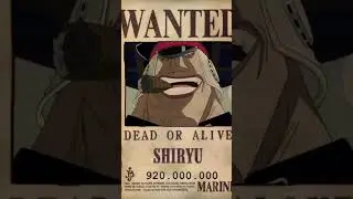 UNKNOWN BOUNTIES ONE PIECE - PART 1