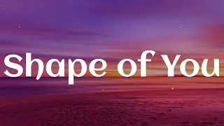 Ed Sheeran - Shape of You (Lyrics) || Playlist || David Guetta, Sia, ,