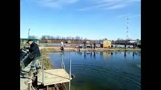 IMG 4530