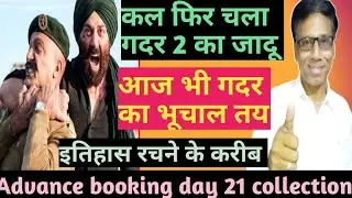gadar 2 box office collection day 20| advance booking & collection day 21