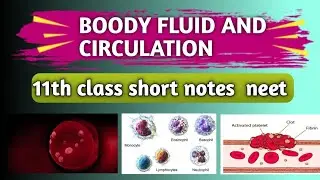 BOODY FLUID AND CIRCULATION 11th Class Short Notes #neet  2024 #biology#shortnotes