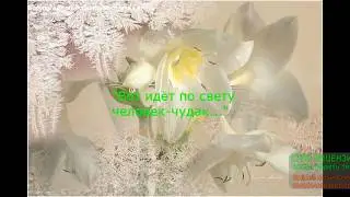 Вот идёт по свету человек чудак