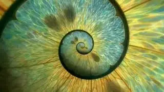 MARIVS (FR) - Qui Es Tu  ? ( Lutzenkirchen Dub Mix )