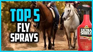 ✅Top 5 Best Fly Sprays for Horses in 2024