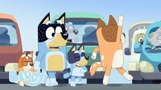 Modo de baile | Bluey Español Canal Oficial