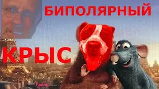 Биполярный крыс l RYTP РАТАТУЙ