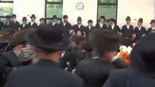 הכנסת ספר תורה בביהמ