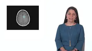 Understanding Multiple Sclerosis: The MS Process