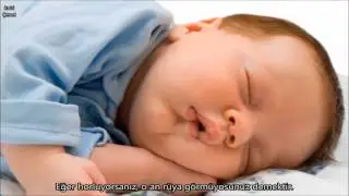 İnsan Anatomisi İle İlgili Videolar