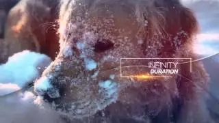 Winter Slideshow After Effects Project Download