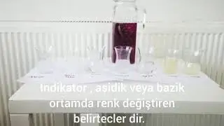 Asit baz ve mor lahana ile indikatör deneyi