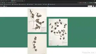Intro to WordPress: Setting up a homepage and making  your first post