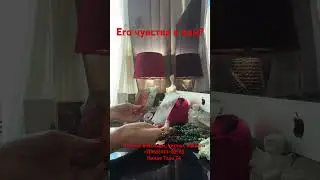 Его чувства к вам? Расклад таро shorts #онлайнрасклад #гаданиеналюбовь #гаданиеонлайн