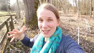 March 15th Farm Update - More Babies & Orchard Fence
