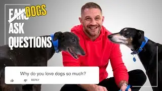 Tom Hardy Plays With Rescue Dogs | FAQs