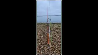 Basstastic!