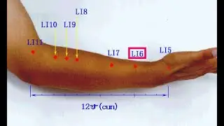 USE OF LUO POINTS ACCORDING TO SKIN MANIFESTATIONS