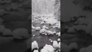 «Девица из водицы» Сергей Волостнов. Сказ. (Часть 17) 