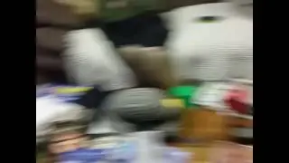 Shiba kill the toilet roll - Kortmar Shiba Inu
