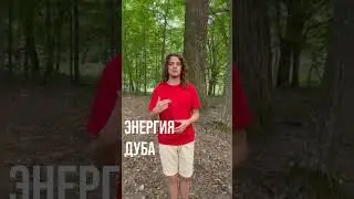 Энергия Дуба