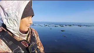 Fried kelp and milky shores.