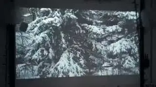 Winter Wonderland