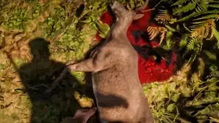 Hunting in first person was a mistake