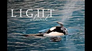 Inouk - Light ♥