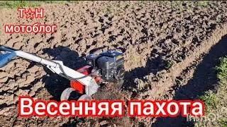 Мотоблок(культиватор) Sterwins, мкм-1р, Мобил К. Подготовка почвы для овощных культур.